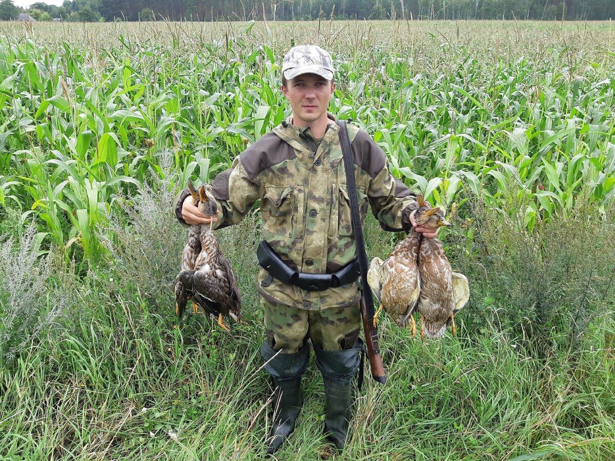 автор - Роман Седляров