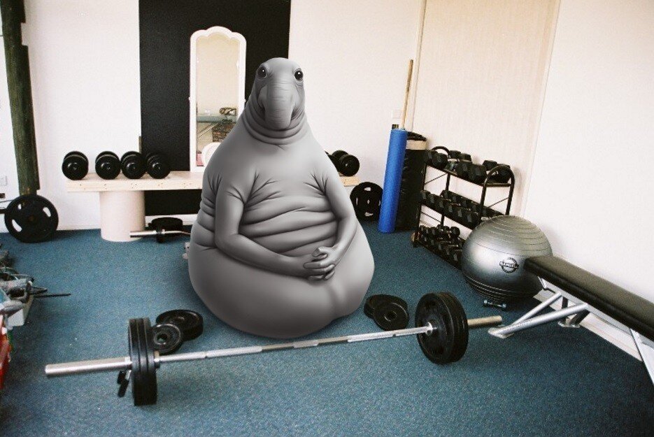 Жду - когда тренер начнет меня развлекать и придумывать самостоятельно новые упражнения!