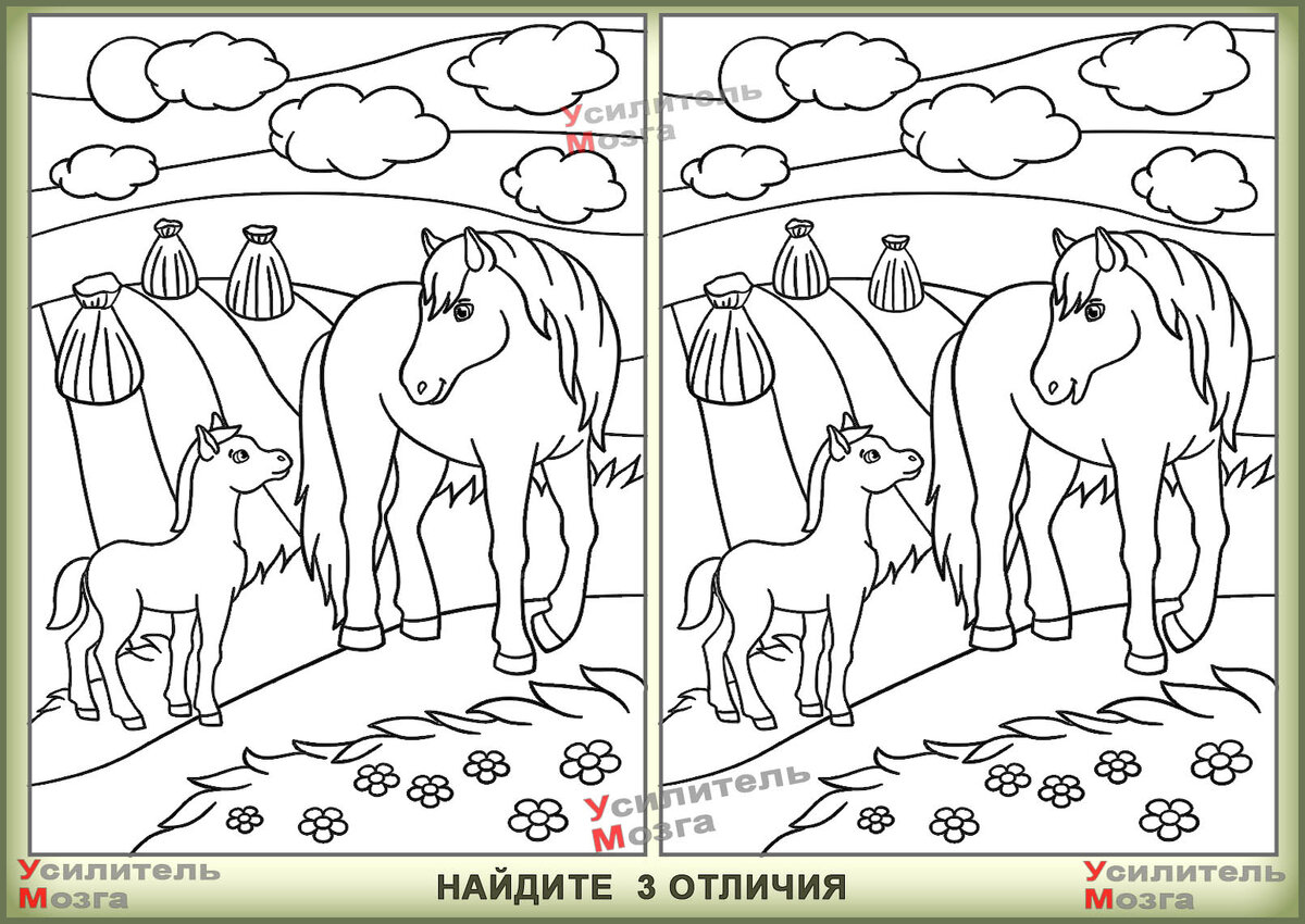 Сколько лет найди. Найди отличия для подростков. Головоломки Найди отличия. Загадки Найди отличия. Найди отличия задания для подростков.