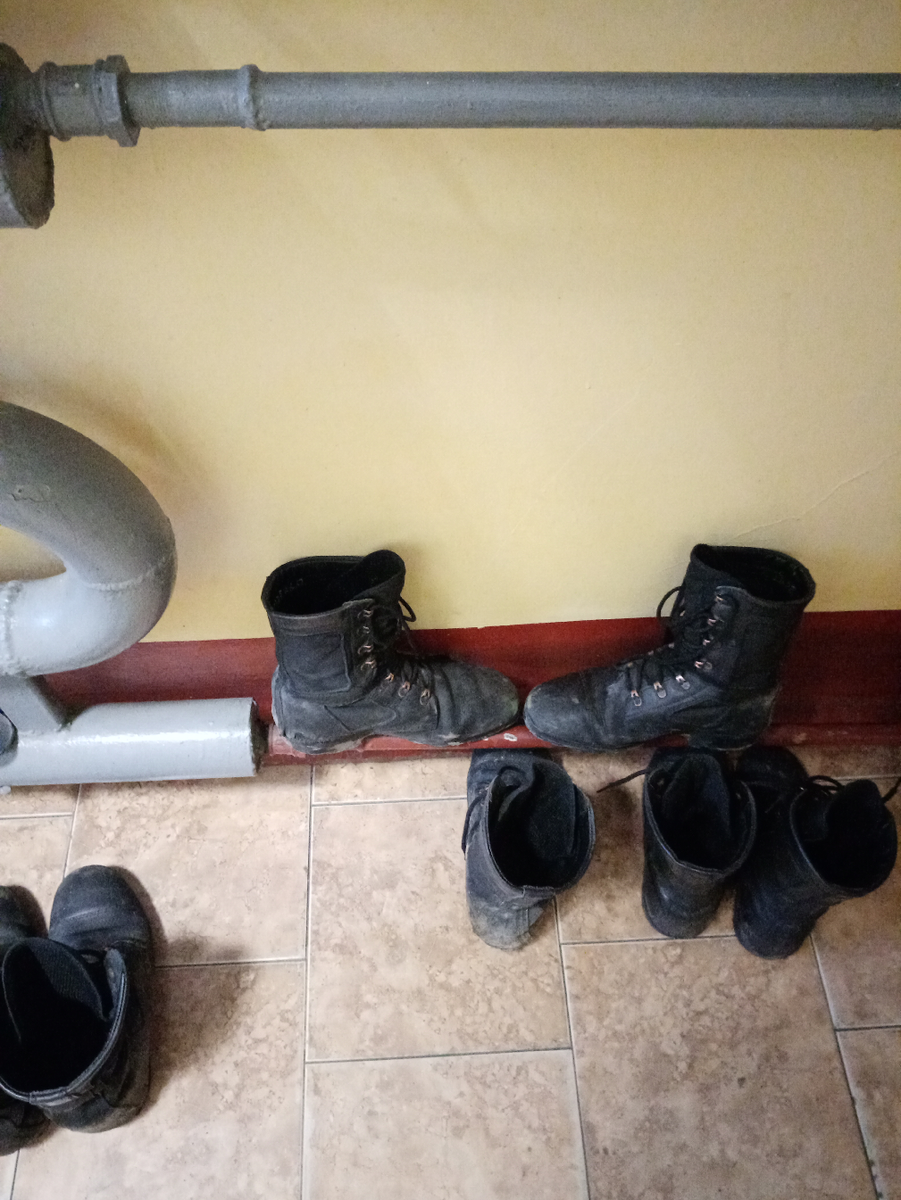 На фото мои бертци. Не чищенные