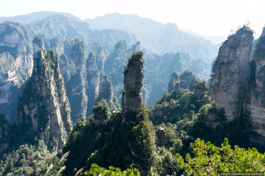 Наследие найди. Наследие найди. Первородная семья майклсонов. Наследие найди. Первородные вампиры майклсон.