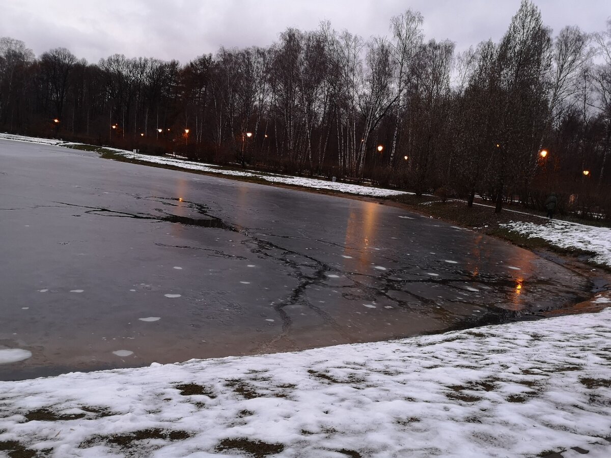 25 ноября 2020. 