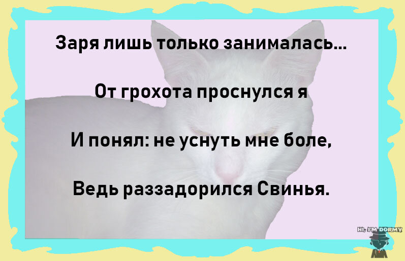 "Медведь, Лиса, Свинья и Мышь", эпизод 1