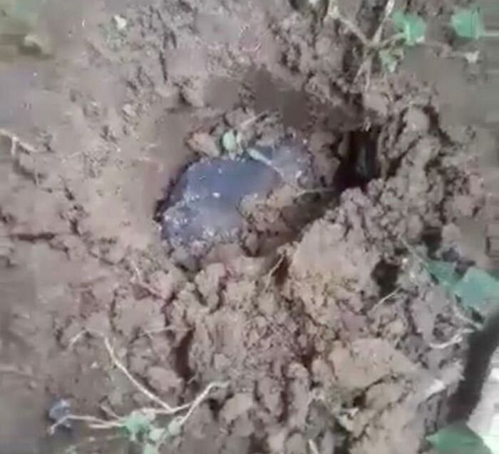 Как оказалось, на его участок упал большой метеорит, весящий более двух килограммов. Возраст небесного тела оценивается в 4,5 млрд лет.

От сильного удара метеорит на 15 сантиметров вошел в землю. О находке гробовщика вскоре узнал находившийся на Бали американский эксперт-коллекционер Джаред Коллинз, увлекающийся астрономией. Он узнал, что небесное тело содержит химические строительные блоки, заложившие жизнь в Солнечной системе.