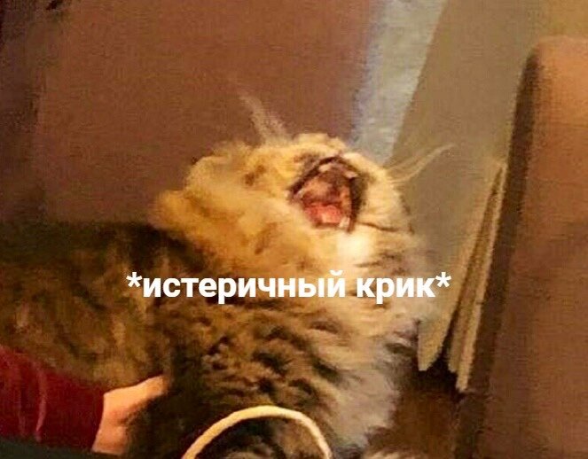 Примерно такое у меня сейчас состояние когда я читаю это всё)