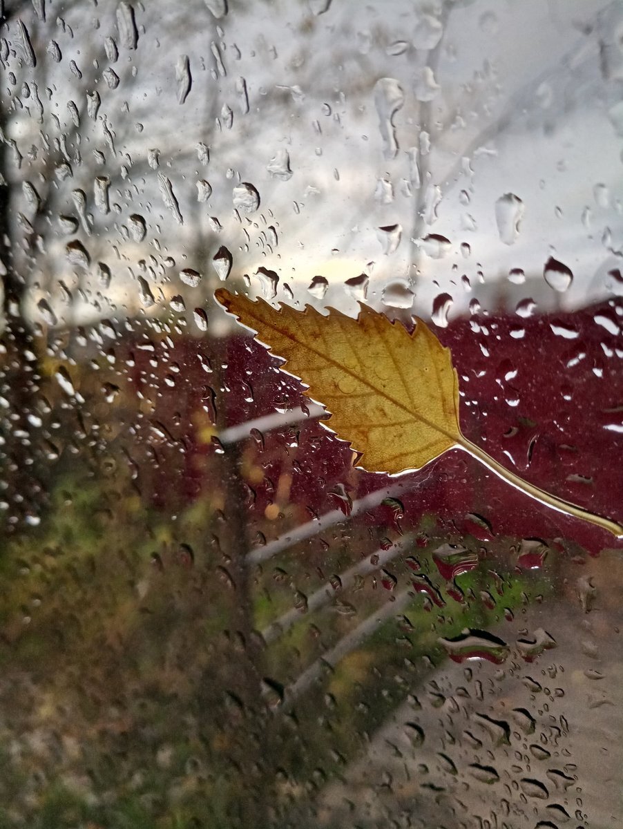 Яндекс-фото