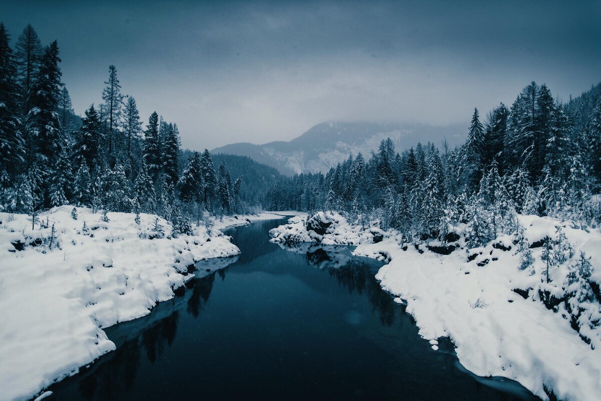 Источник фотоматериала: Яндекс картинки