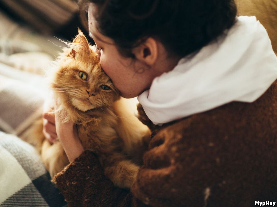 Фото взято из свободного доступа в интернет