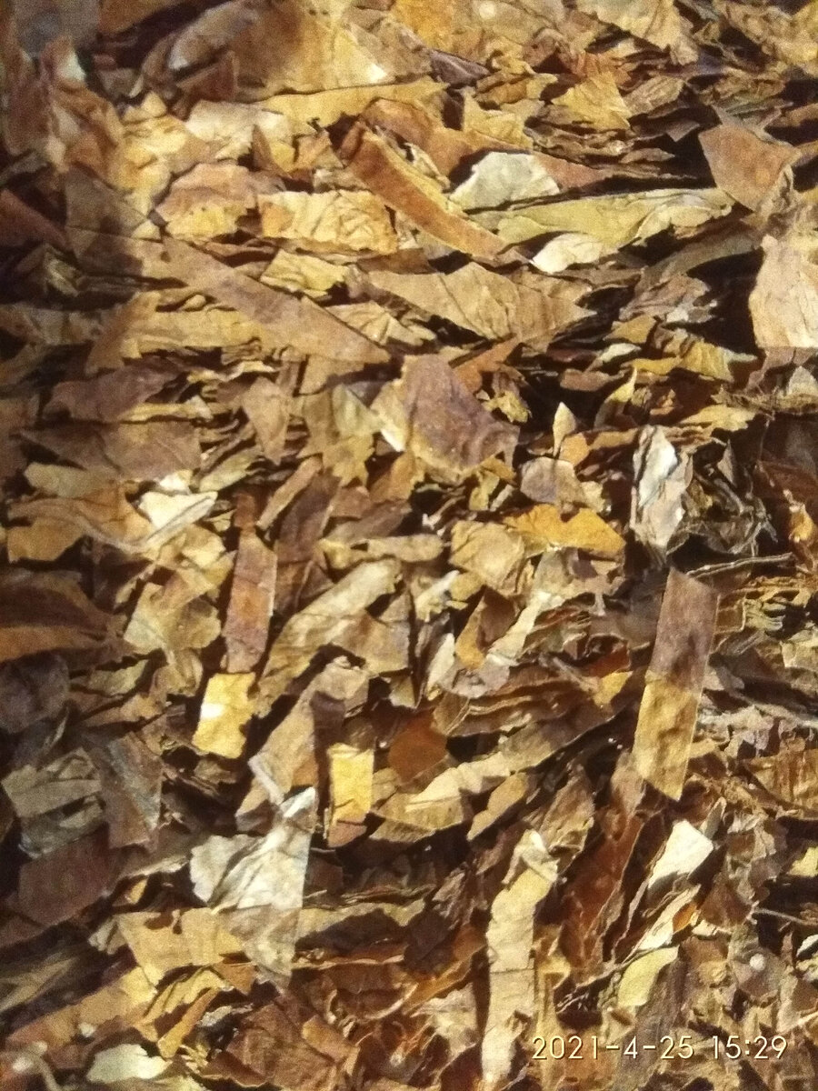 Это совсем вблизи. На фото выглядит крупновато но это не так