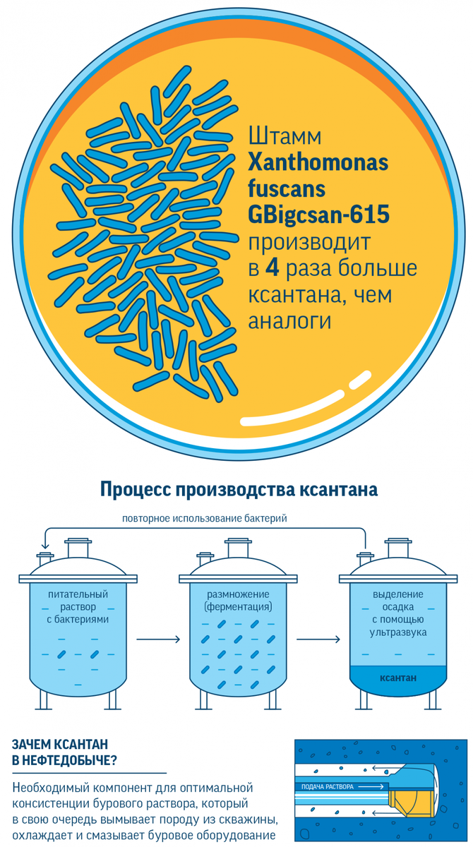 Санкции - не помеха? Рассказываем о важных разработках нефтяных компаний |  Энергия+ | Дзен