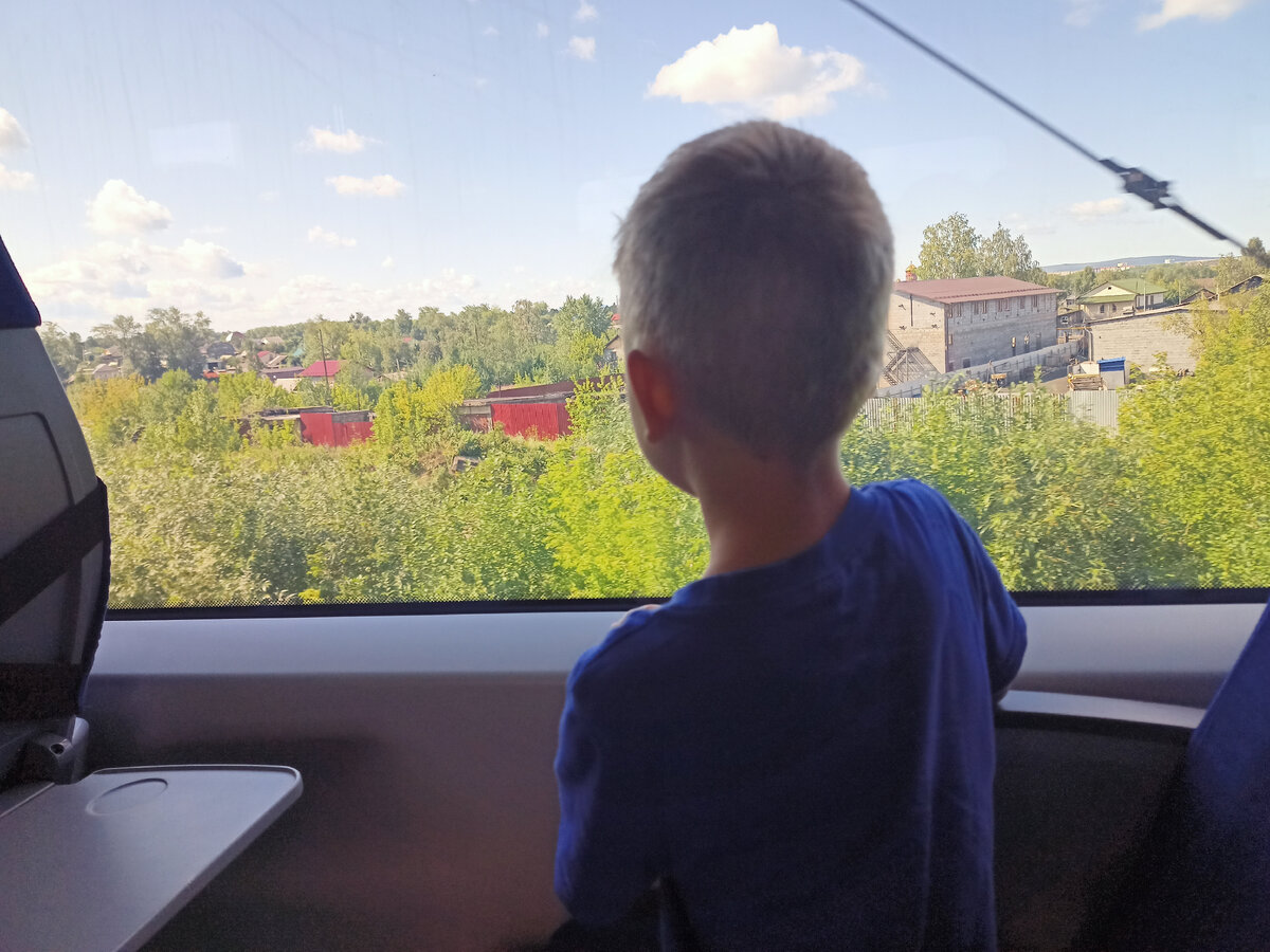 Вид из окна ласточки