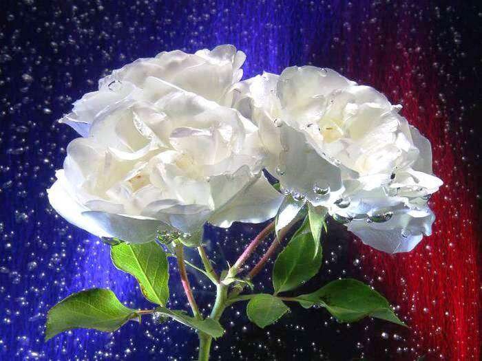 Картинка из открытого источника.