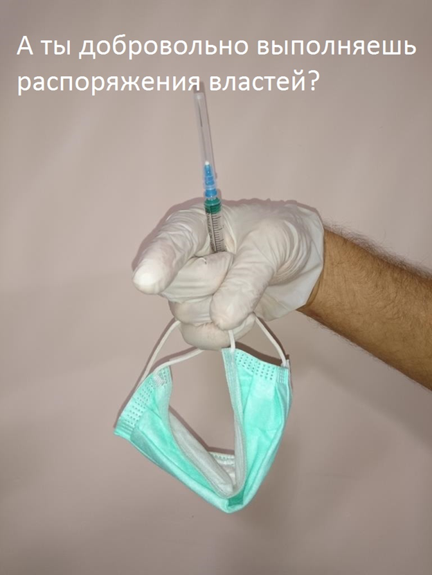 Коллаж автора.