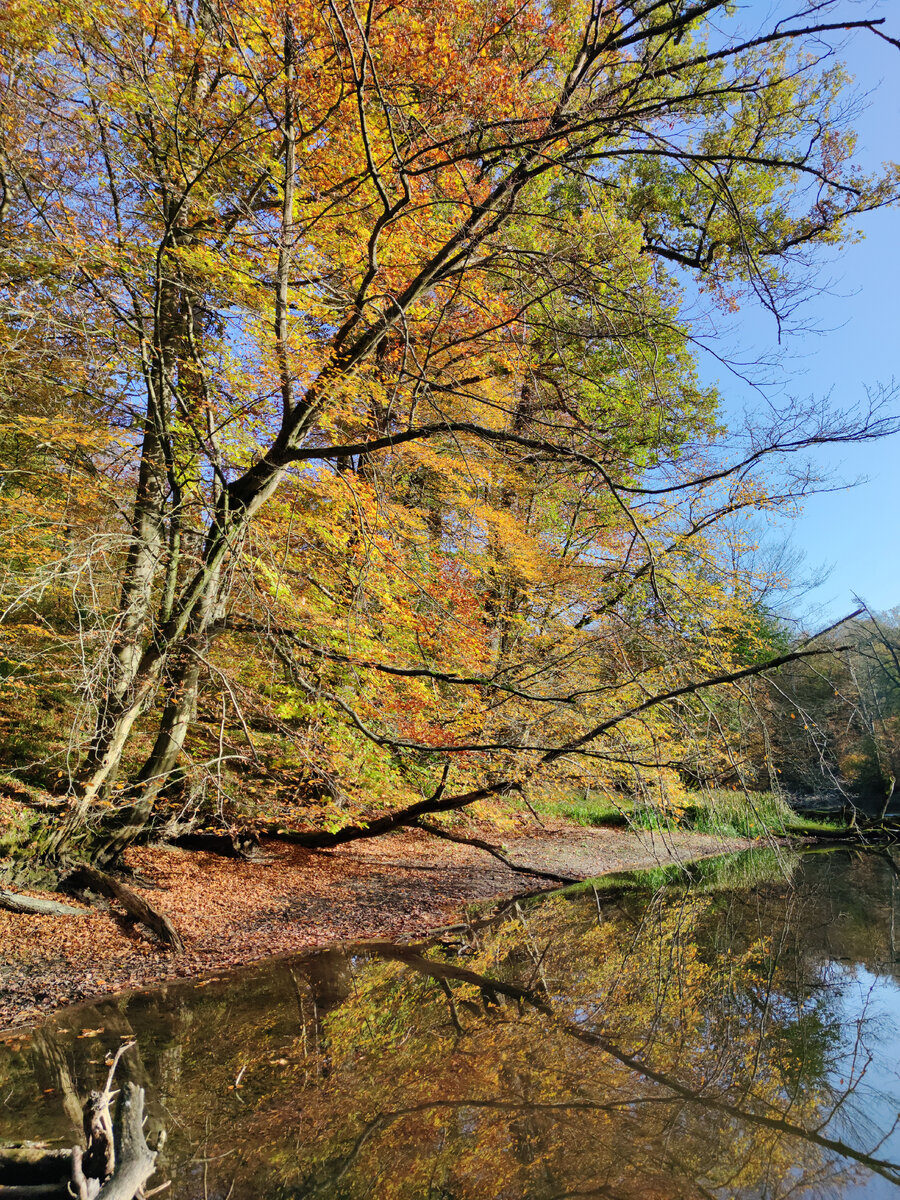 Осень - самый красивый сезон года