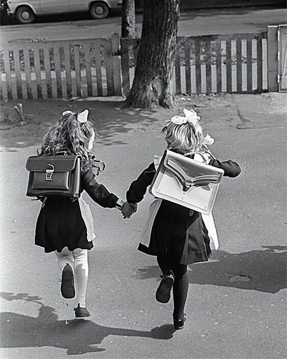 изображение взято с открытых источников