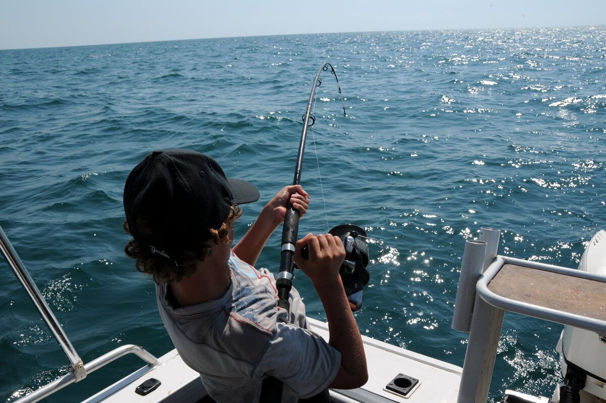 «Фото взято с https://www.pexels.com/ru-ru/photo/man-fishing-3793366/ и является бесплатным, стоковым»