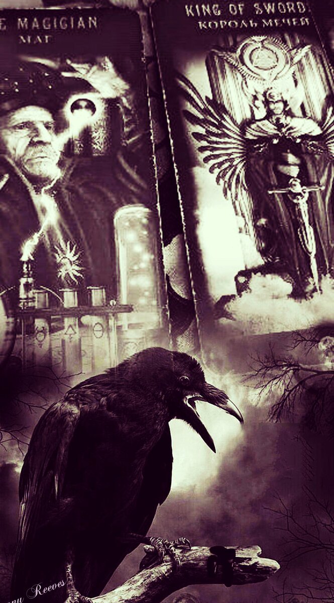 Фото автора статьи