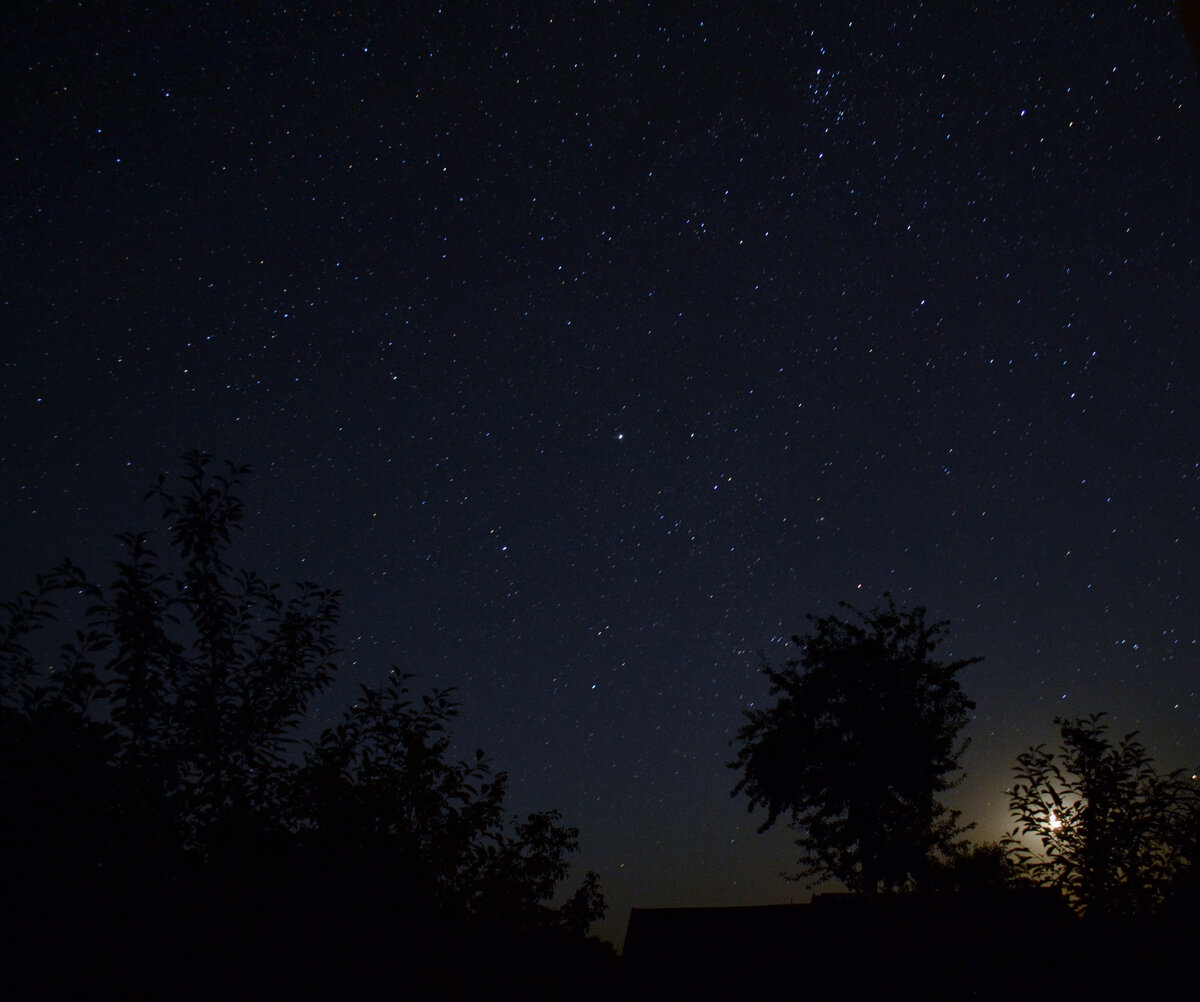 Звездной ночью...