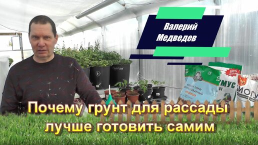 Почему грунт для рассады лучше готовить самим