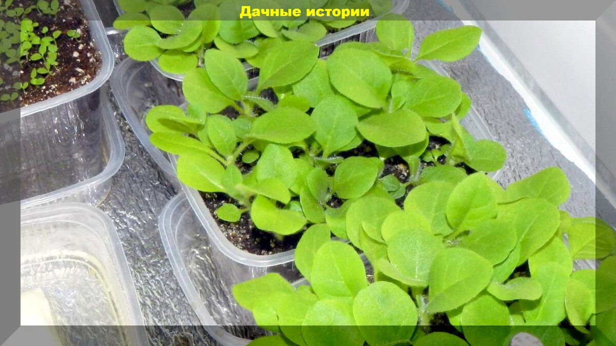 https://vk.com/photo-159774511_457251995