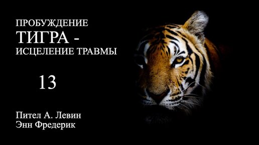 Пробуждение ТИГРА-исцеление травмы. Программа повторения #13 / Аудиокнига Питер А.Левин