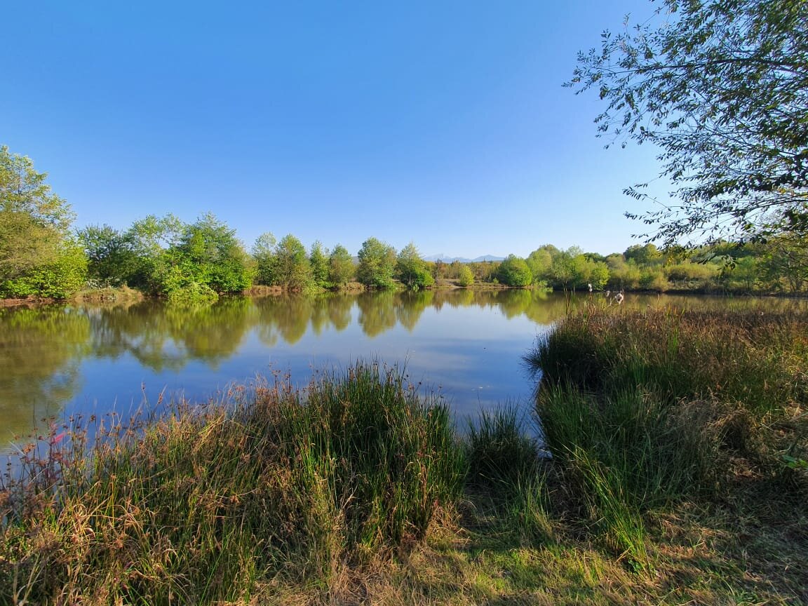 Посёлок Меркулаевка