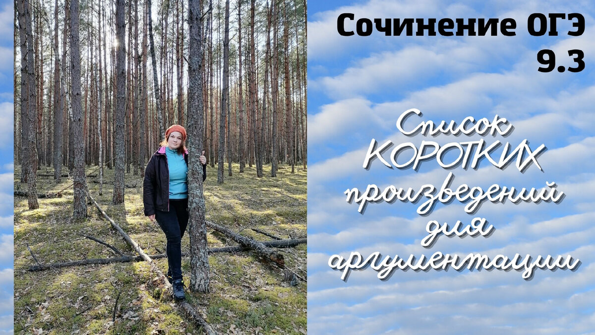 Мечта это 9.3 огэ