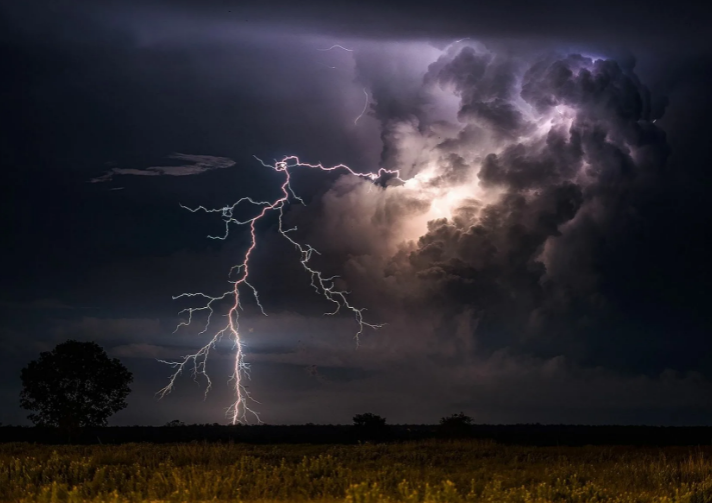 взято с proprikol.ru