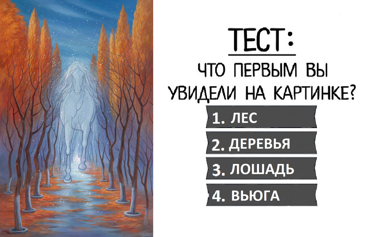 Что первым вы увидели на этом изображении? Лес и деревья? Белая лошадь? Вьюга?