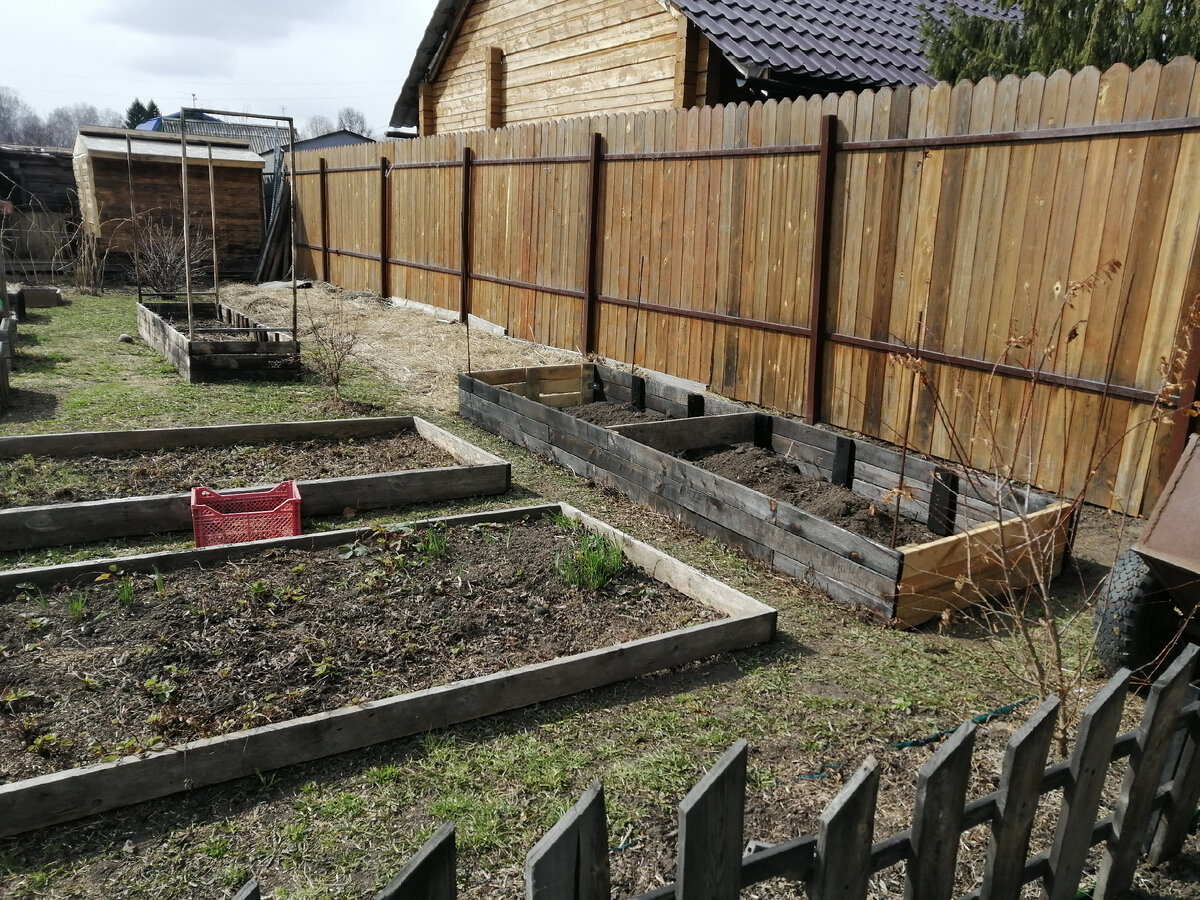 Весна на моем участке