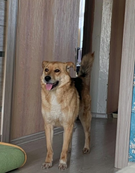 Фото из архива волонтеров