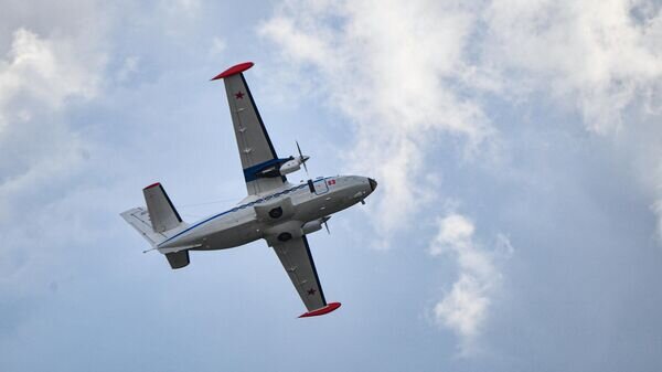    Самолет L-410© РИА Новости / Евгений Биятов