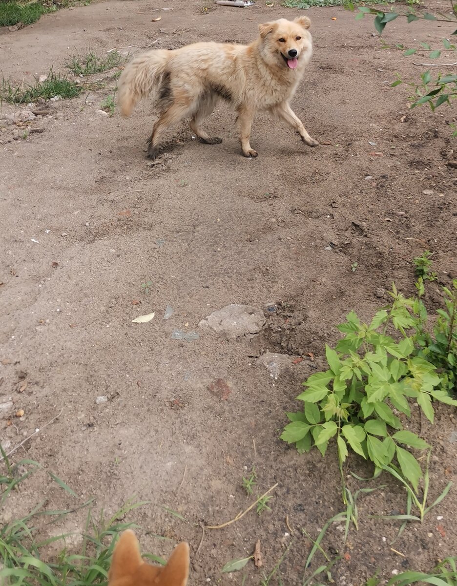 Эта совсем не кажется злой