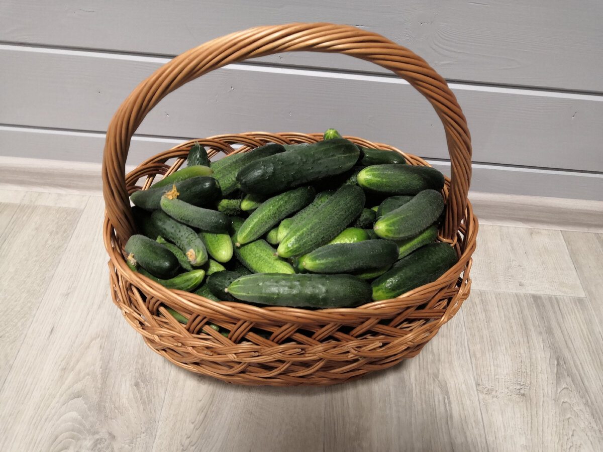 Спасайся кто может