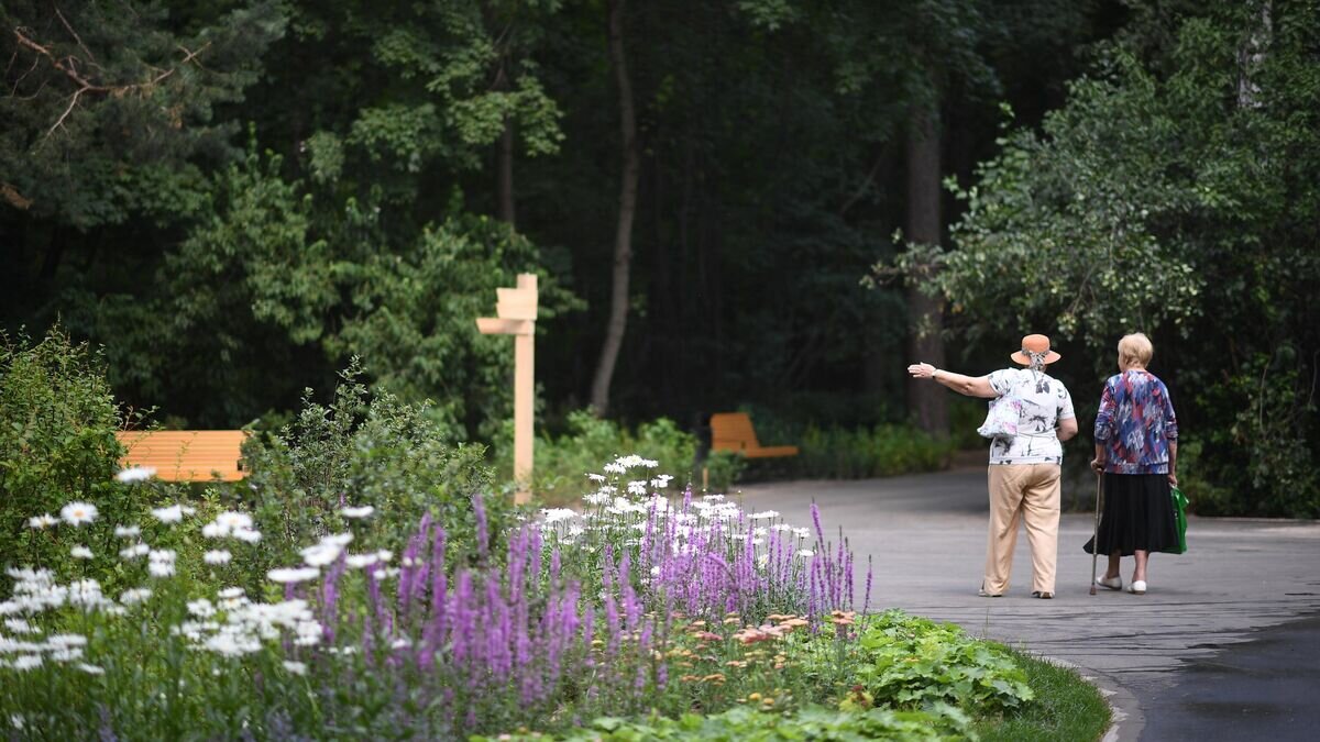    Работы по реабилитации Щукинского парка© РИА Новости / Алексей Майшев