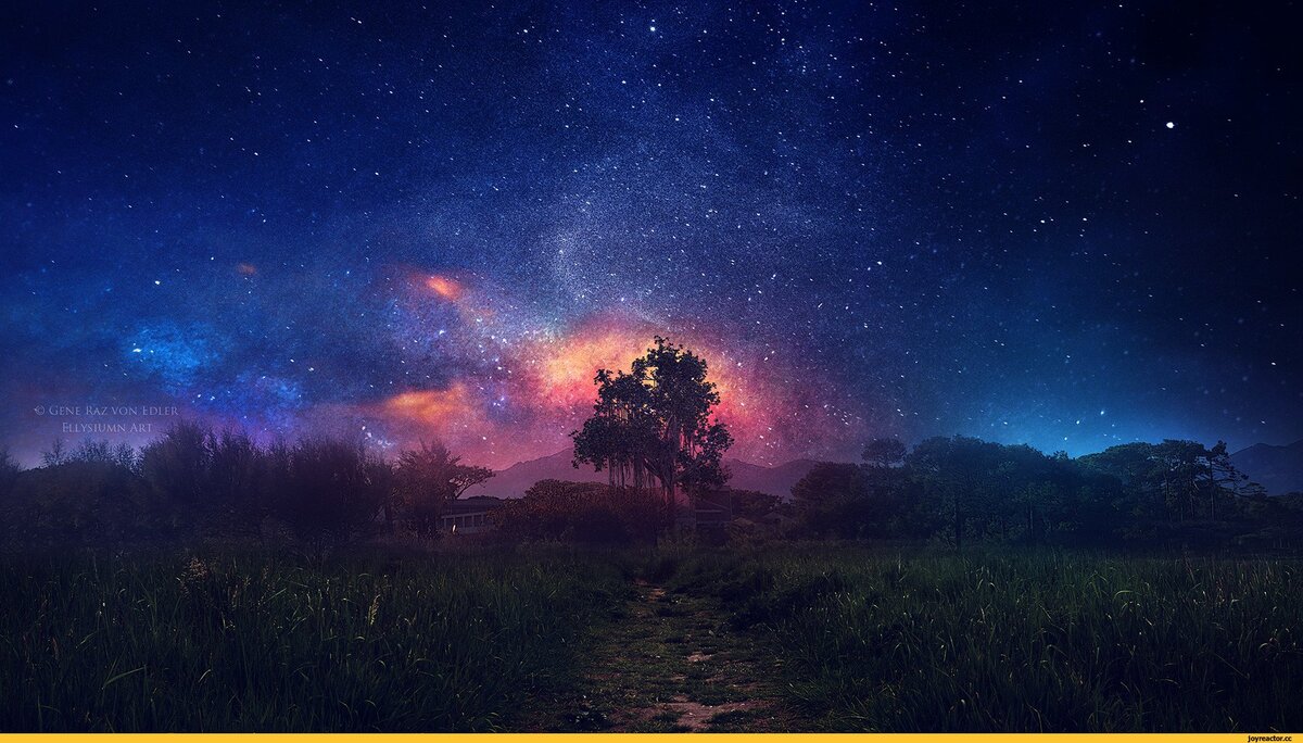 яндекс картинки