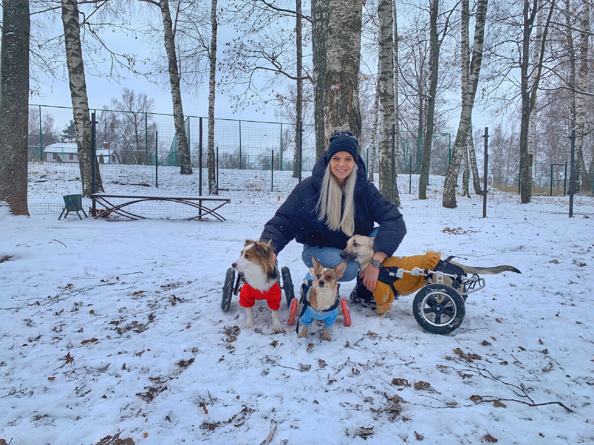 Я приехала в гости к Татьяне, у которой такие прекрасные хвостики🥰🐶