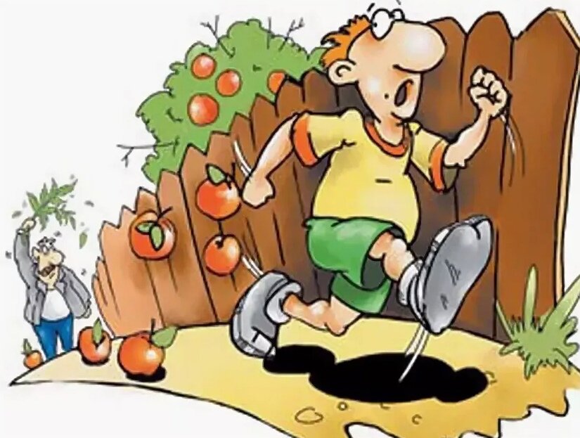 картинка из интернета.