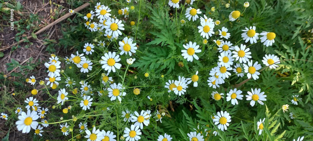 Фото из личного архива