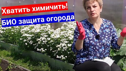 Сколько можно лить химию в огороде_ Защита и лечение овощей на грядке без химии, только bio средства