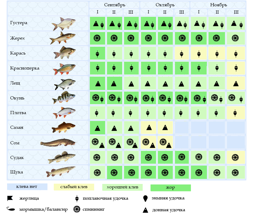 Календарь клева на год Рыбалка осенью: какую рыбу ловить. На что ловить осенью (часть 2) Рыбалка Лучший
