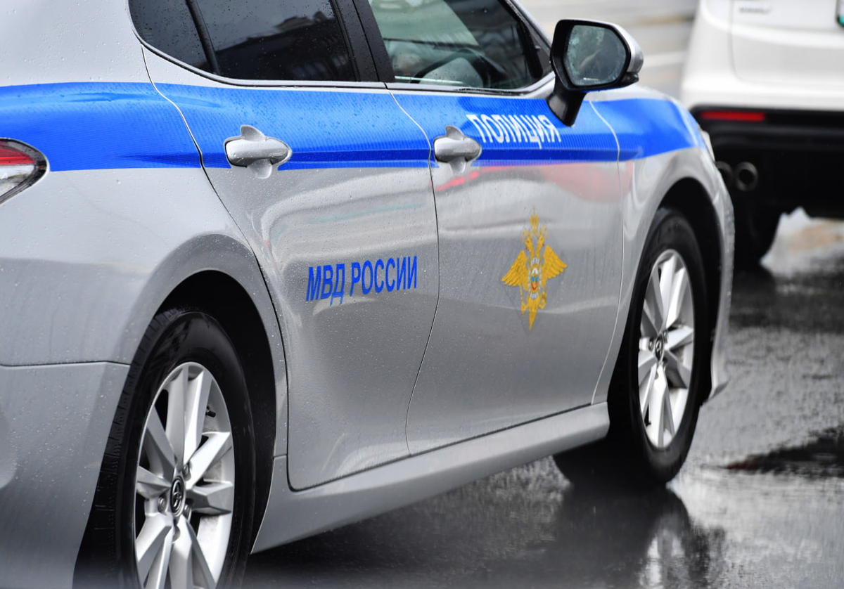    © Баранов Владимир/Global Look Press