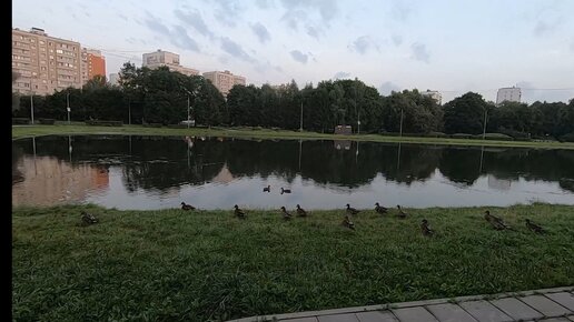 Утренний Мормышинг на Ангарских Прудах.Ротанинг в городской черте.