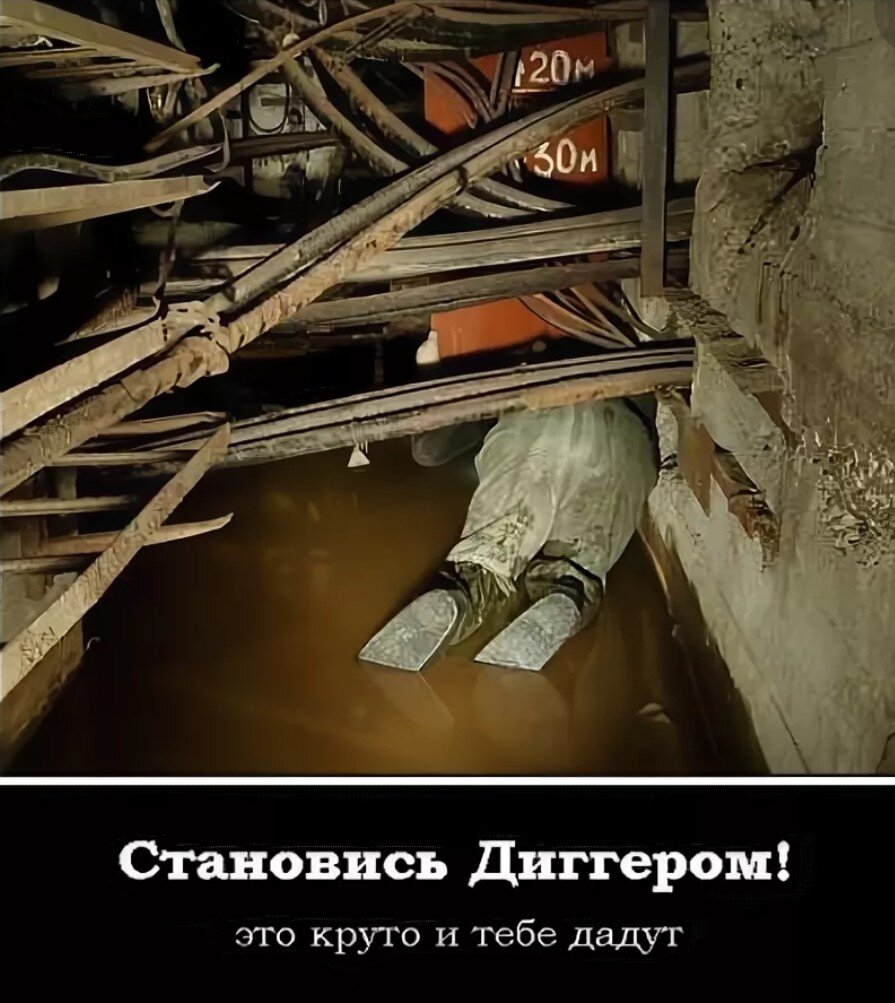 Из открытых источников в интернете