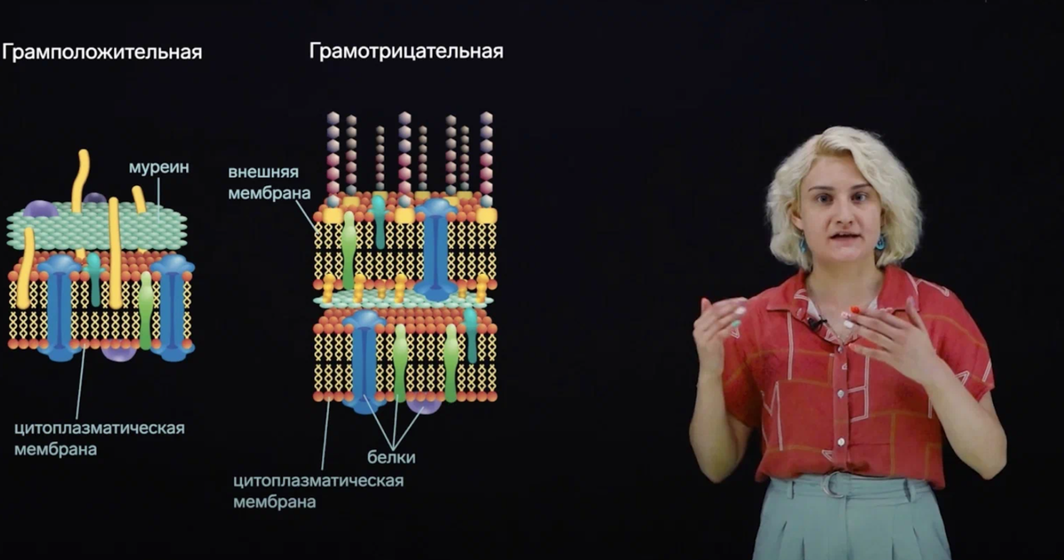 Сириус курсы биология