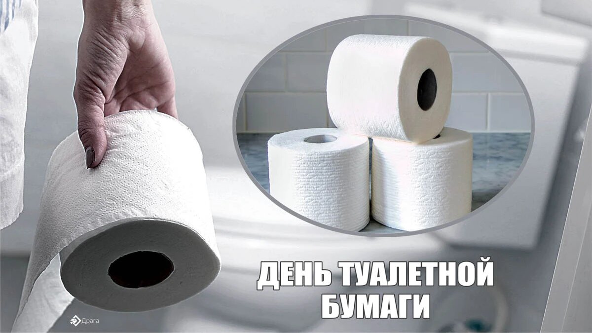 День туалетной бумаги. Иллюстрация: «Весь Искитим»