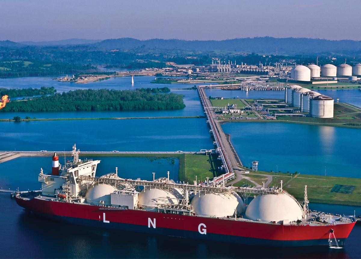 Иллюстрация в свободном доступе