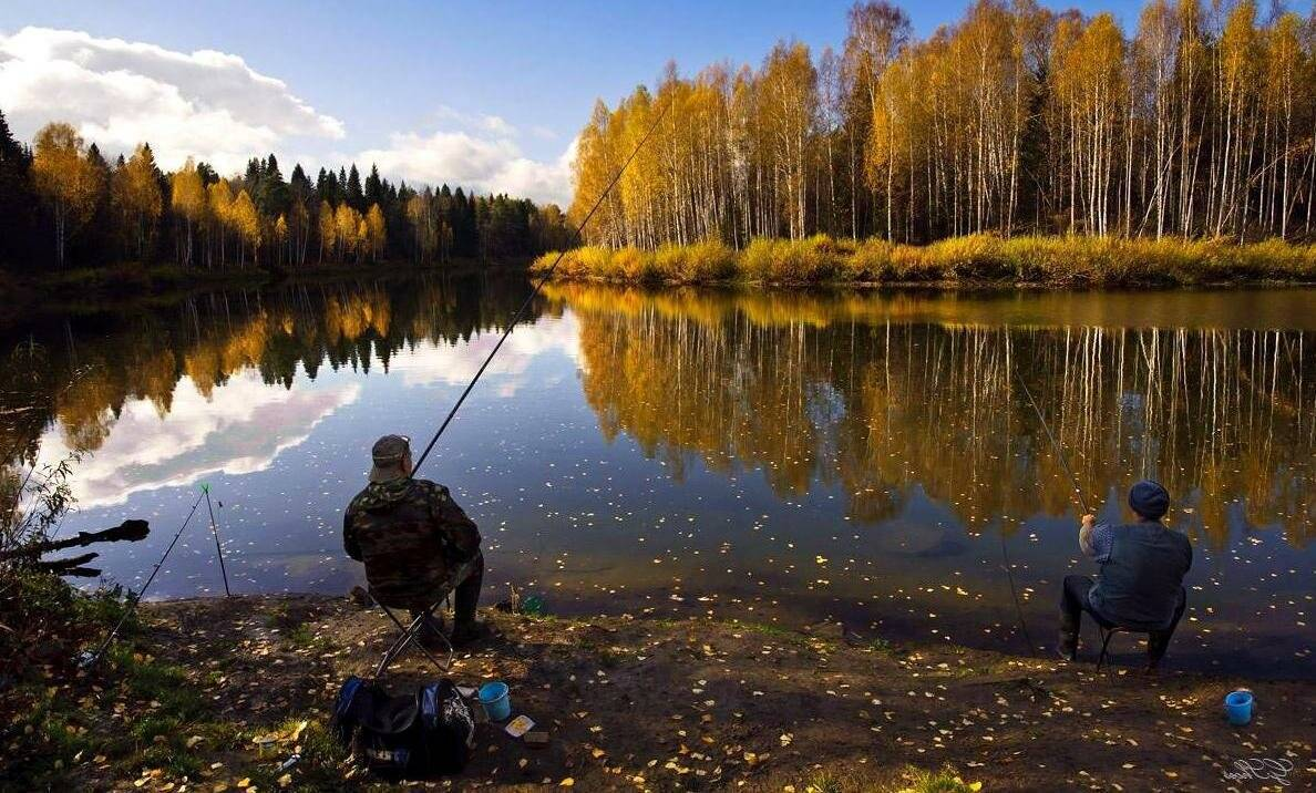 Осенняя рыбалка — последняя возможность насладиться процессом рыбной ловли перед зимой. Осень в регионах России традиционно считается переходным периодом и зачастую очень радует рыбаков богатым уловом.