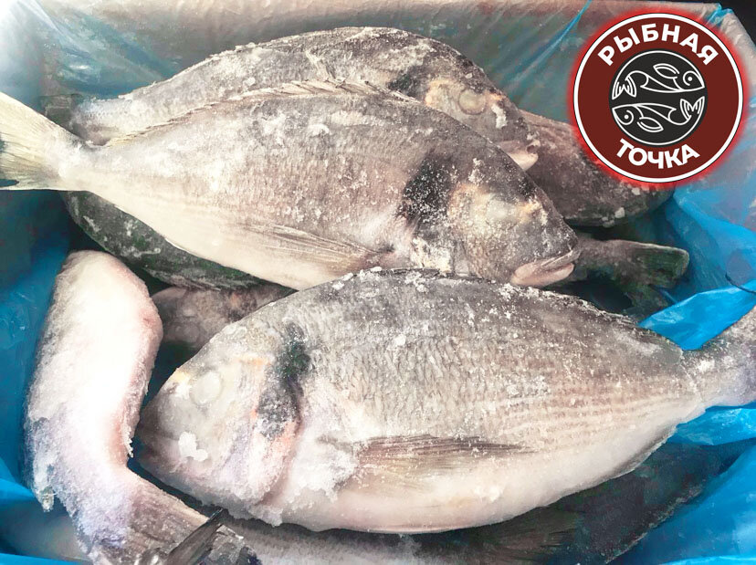 Дорадо, он же Денис в замороженном виде у нас в магазине. Видите, радужку желтую около глаз? 

