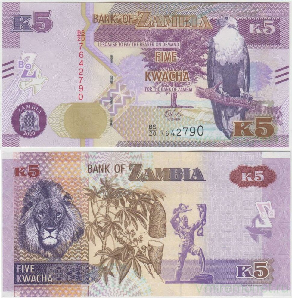 В прошлом году Замбия напечатала новые банкноты, усилив их защиту и заменив год на 2022-й. И, хотя радикально ничего не изменилось, повод поговорить о бонах этой южноафриканской страны у нас появился.-3